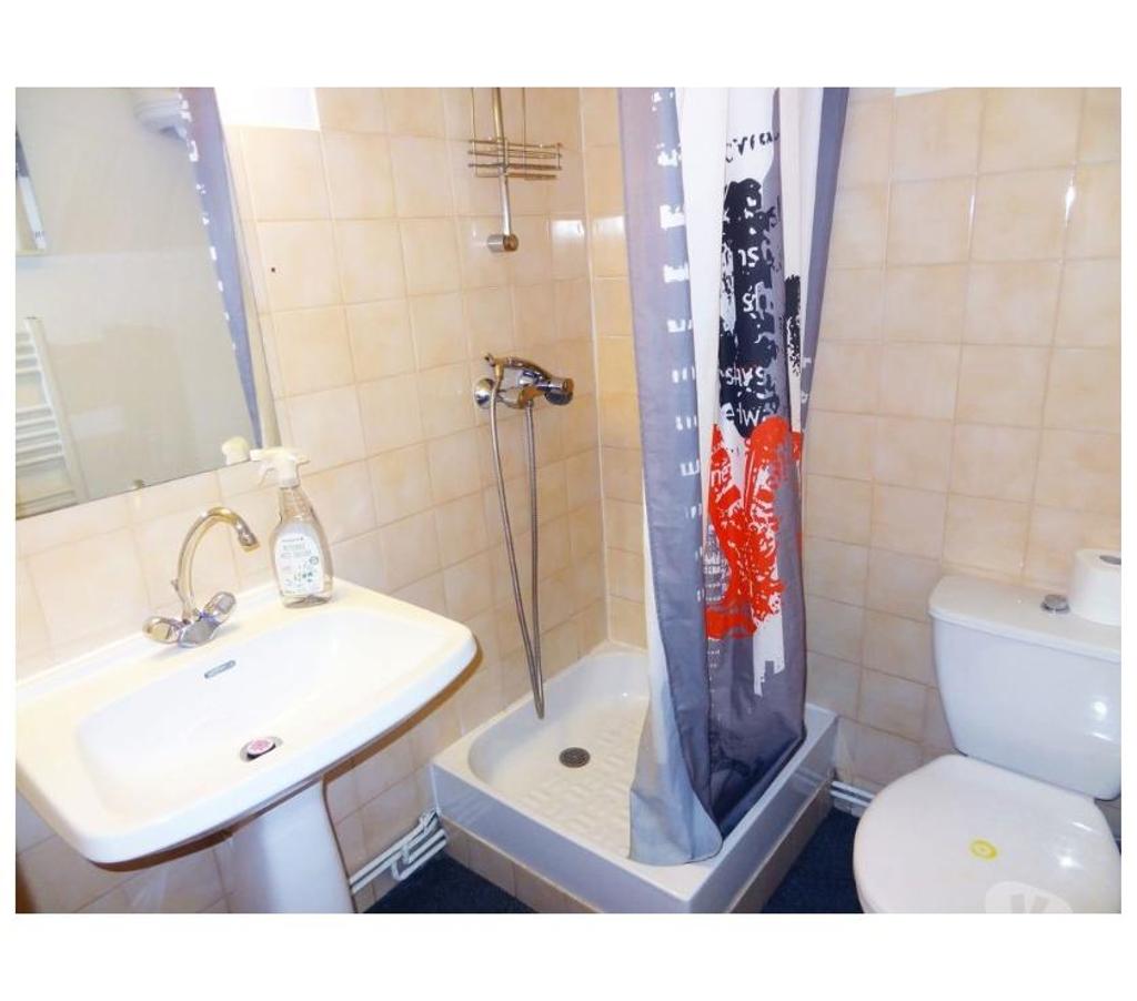 Appartement meublé Allier Vichy - 03200 - Photos Vivastreet studio centre-ville