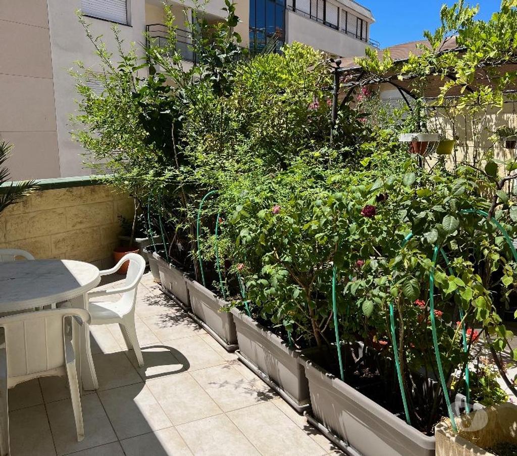 Colocations Hérault Montpellier - Photos Vivastreet Loue F4 meublé colocation