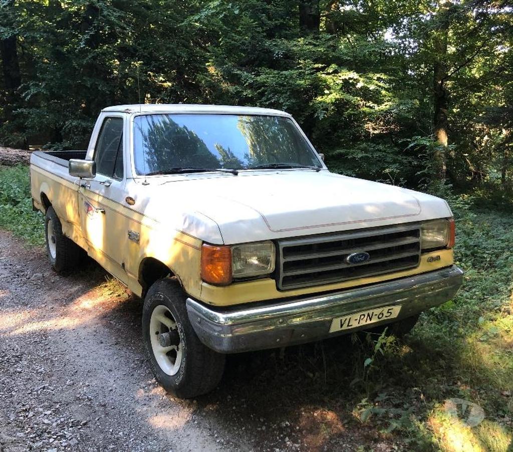 Voiture de collection Tarn Mazamet - 81200 - Photos Vivastreet VDS PICK UP FORD F150 A RESTAURER