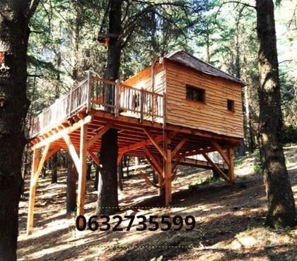 Locations vacances Fournes Cabardes Aude - Photos Vivastreet Cabanes perchées dans une forêt de cèdres