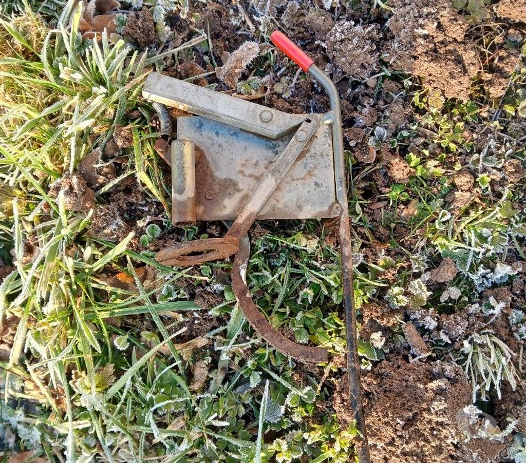  Saône-et-Loire Antully - 71400 - Photos Vivastreet RECHERCHE PI7GES A TAUPE TAUPEGUN
