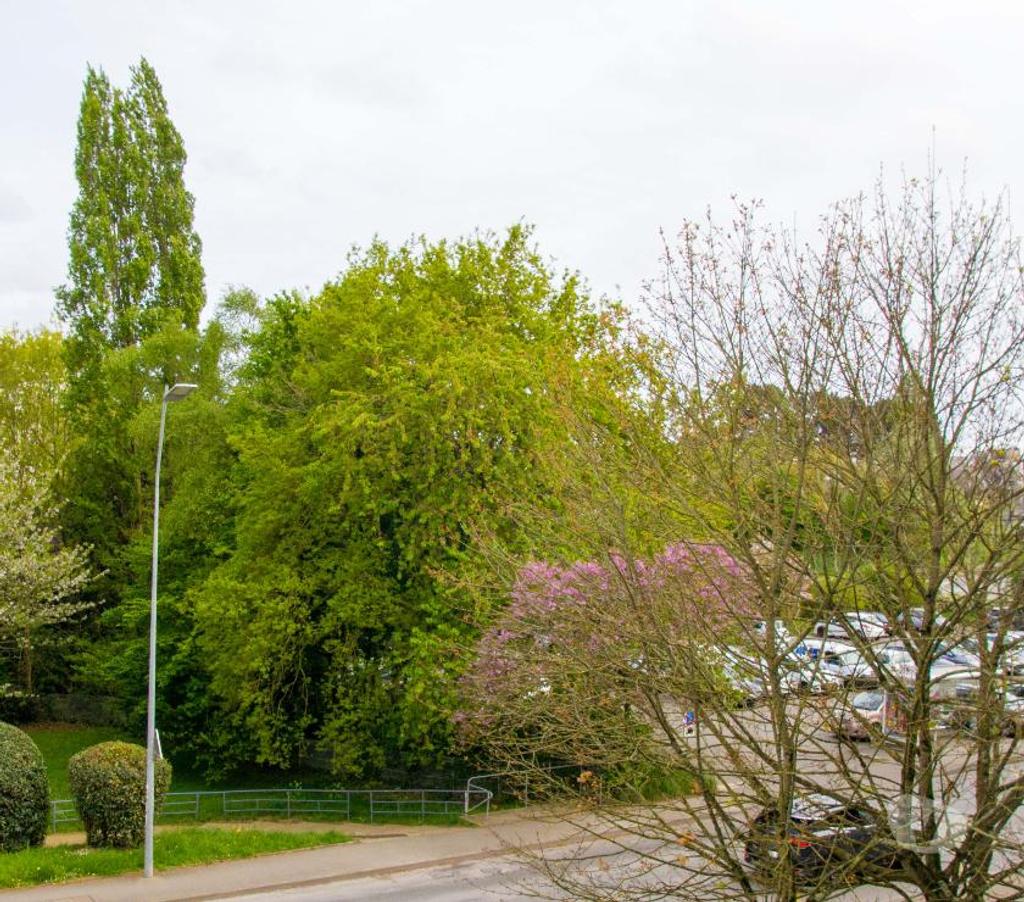 Colocations Morbihan Lorient - 56100 - Photos Vivastreet Chambre colocation Lorient meublée WIFI TV Cave