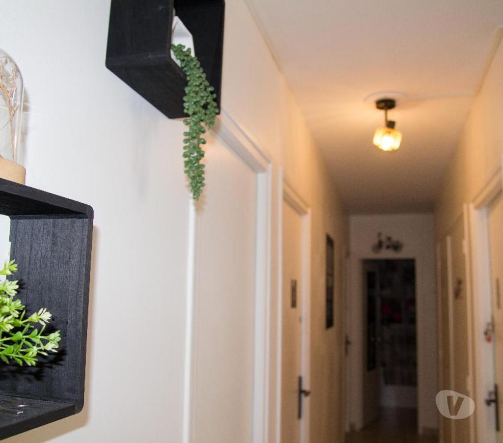 Colocations Morbihan Lorient - 56100 - Photos Vivastreet Chambre colocation Lorient meublée WIFI TV Cave