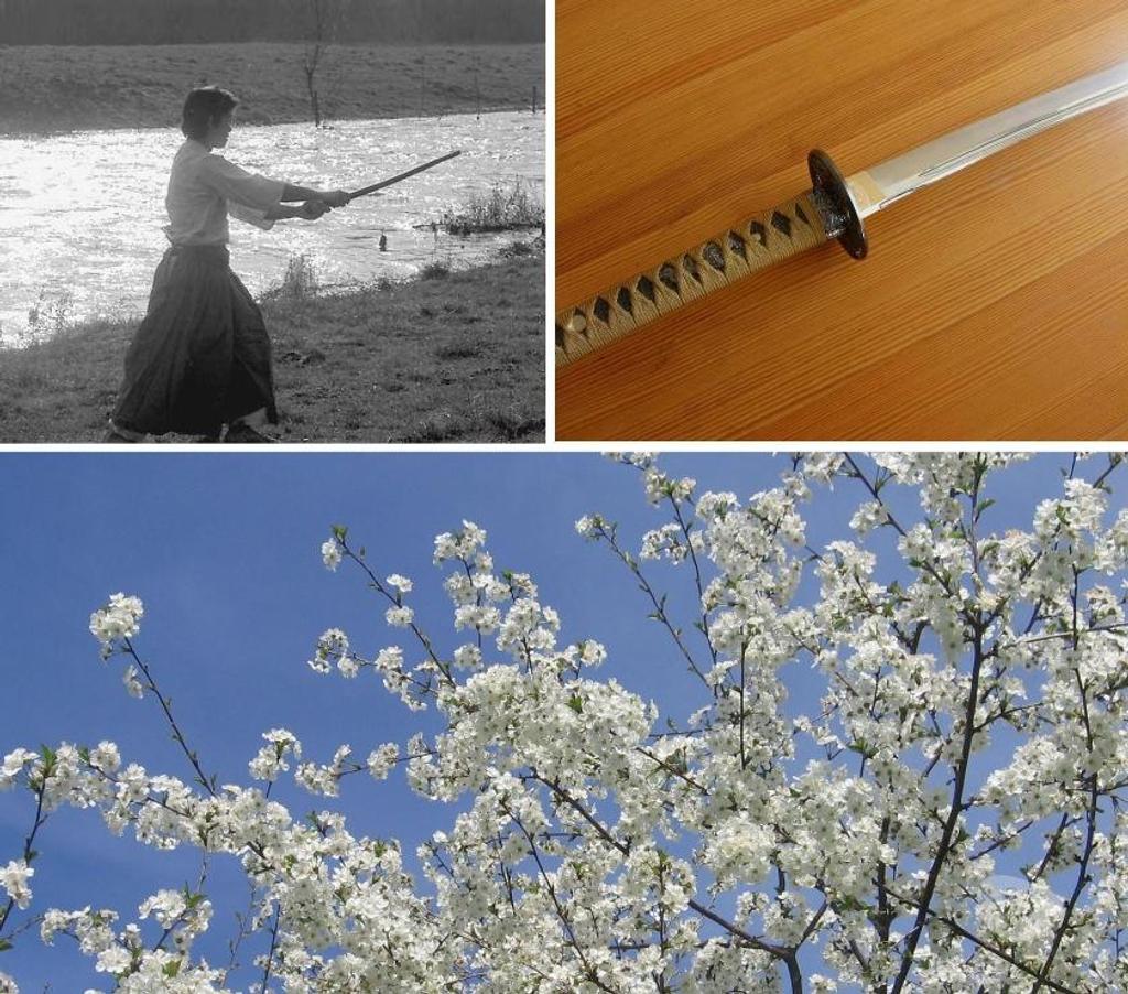 Cours de sport Paris Paris 14ème ardt - 75014 - Photos Vivastreet Cours de Kenjutsu Iaido et Karate Do Zen - Paris sud 75014