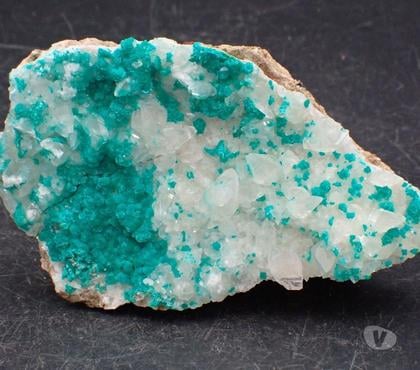 Collections Bertrichamps Meurthe-et-Moselle - Photos Vivastreet Dioptase & Calcite , Christmas Mine , Gila County , Arizona