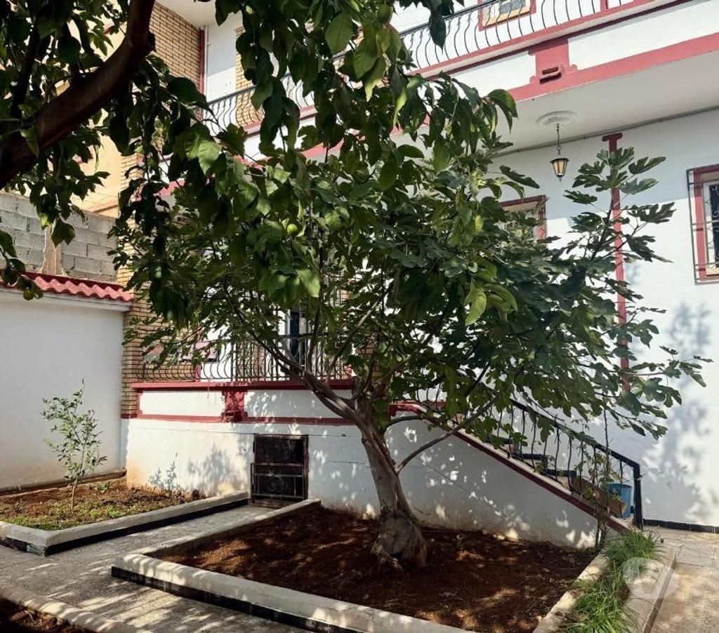 Vente Maison Algérie - Photos Vivastreet Maison sur 3 étages avec terrasse