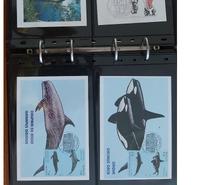 LOT DE 70 CARTES 1 ER JOUR DE MONACO