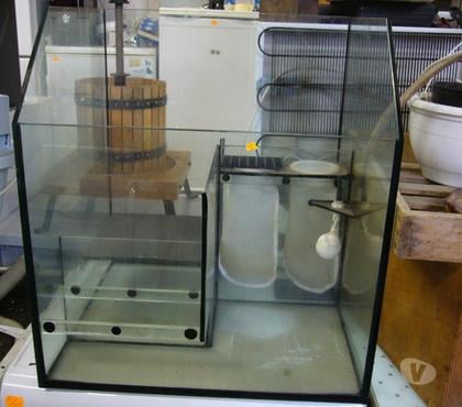 Services, accessoires animaux Sartrouville Yvelines - Photos Vivastreet Aquarium, promotion