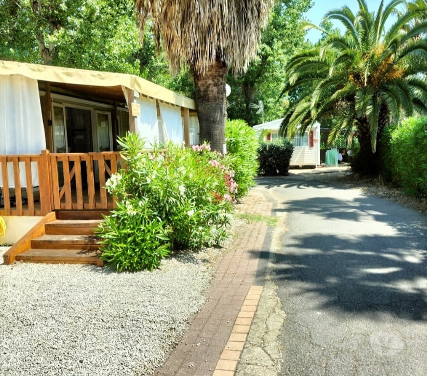 location saisonniere Hérault Agde - 34300 - Photos Vivastreet SUPERBE MOBIL HOME 6 PERS 3 CH 2 WX 2 SDB CLIM