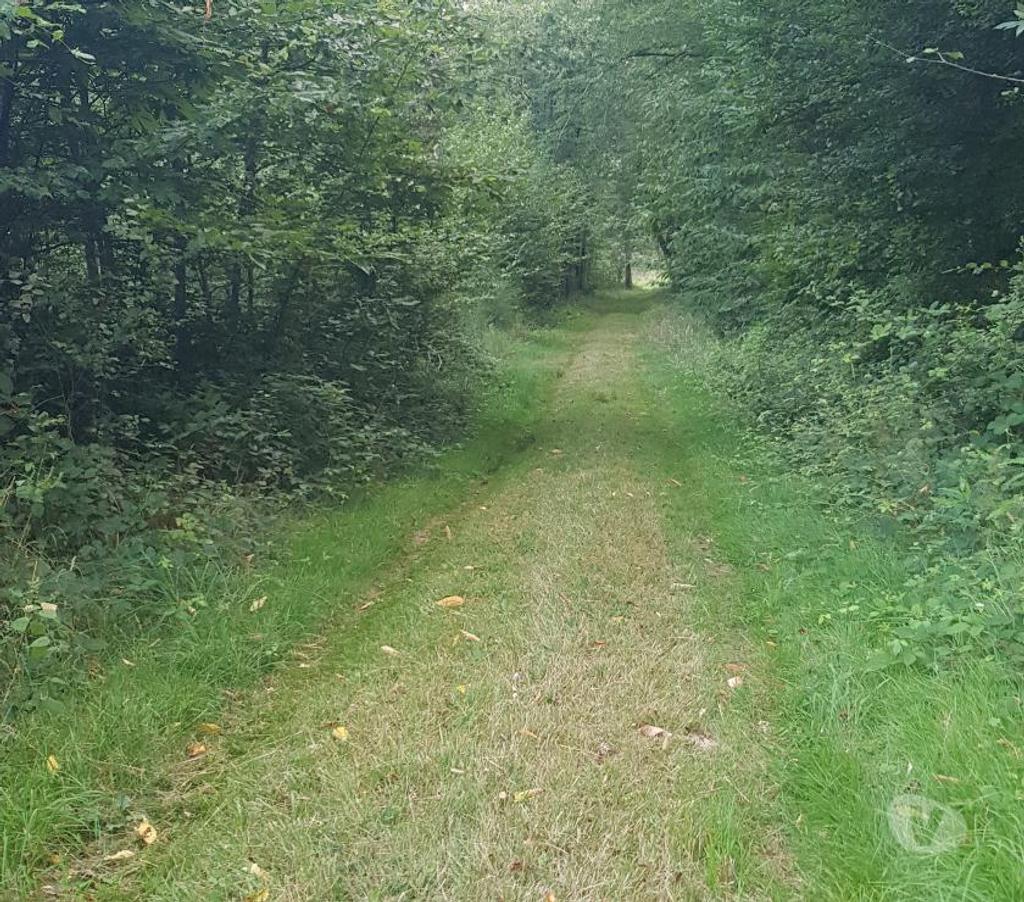 location saisonniere Indre-et-Loire La Celle Guenand - 37350 - Photos Vivastreet Gîte de Malessard en Sud-Touraine