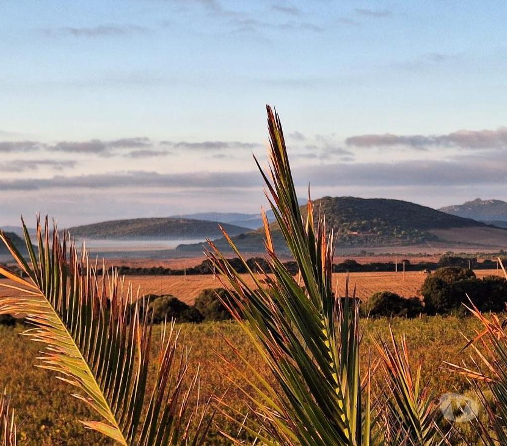 Vente Terres Agricoles Italie - Photos Vivastreet Ferme viticole dans le nord de la sardaigne