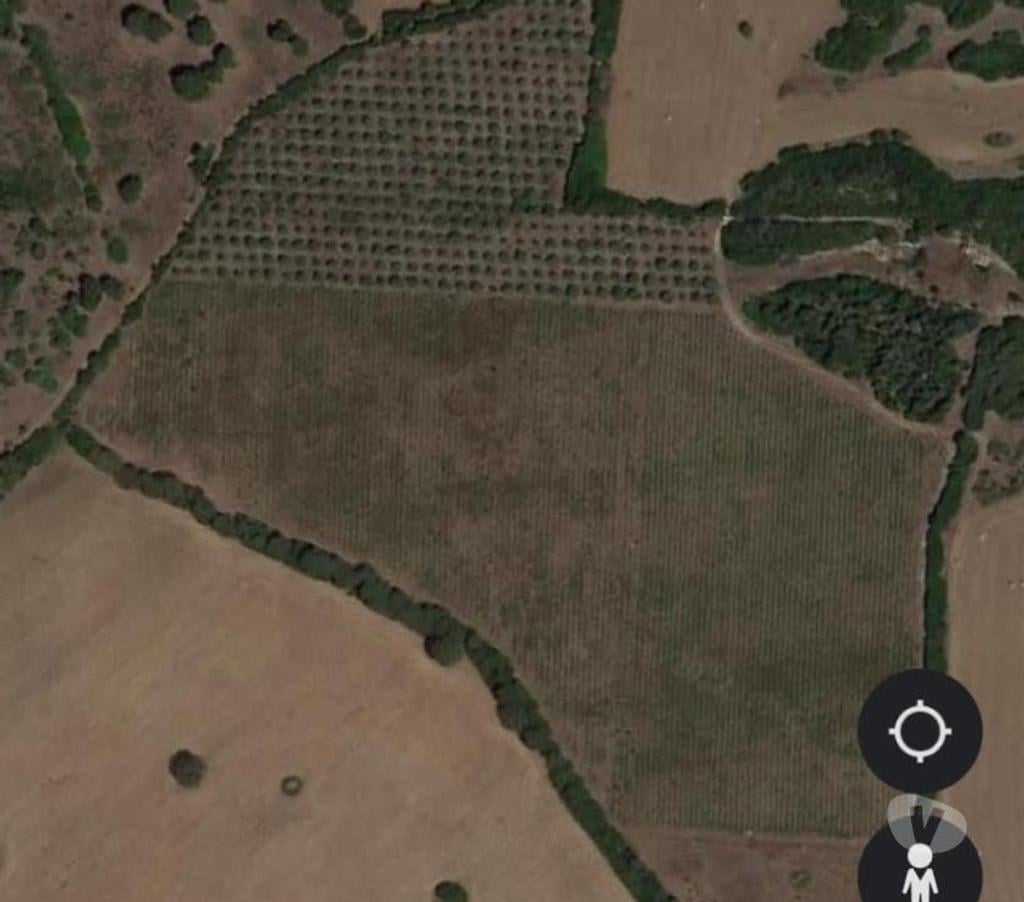 Vente Terres Agricoles Italie - Photos Vivastreet Ferme viticole dans le nord de la sardaigne