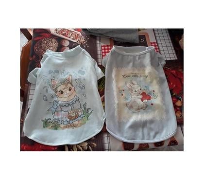 Services, accessoires animaux Feves Moselle - Photos Vivastreet Vêtements chien Paques lapin pull taille M japon manga TV