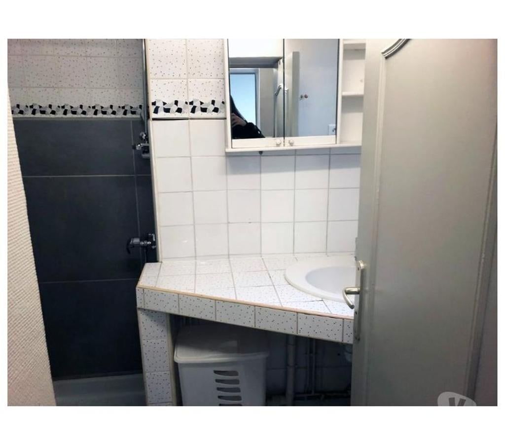 location saisonniere Allier Vichy - 03200 - Photos Vivastreet T1 centre-ville curistes