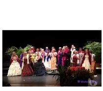 Lot costumes de scène