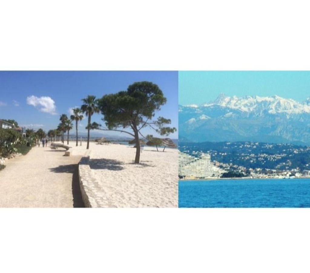 location saisonniere Alpes-Maritimes Cagnes sur Mer - 06800 - Photos Vivastreet VACANCES AU SOLEIL, PISCINE AU COEUR DE LA COTE D'AZUR