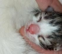 Cherche participants