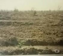 Terrain agricole