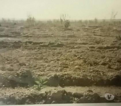 Vente Terres Agricoles - Photos Vivastreet Terrain agricole