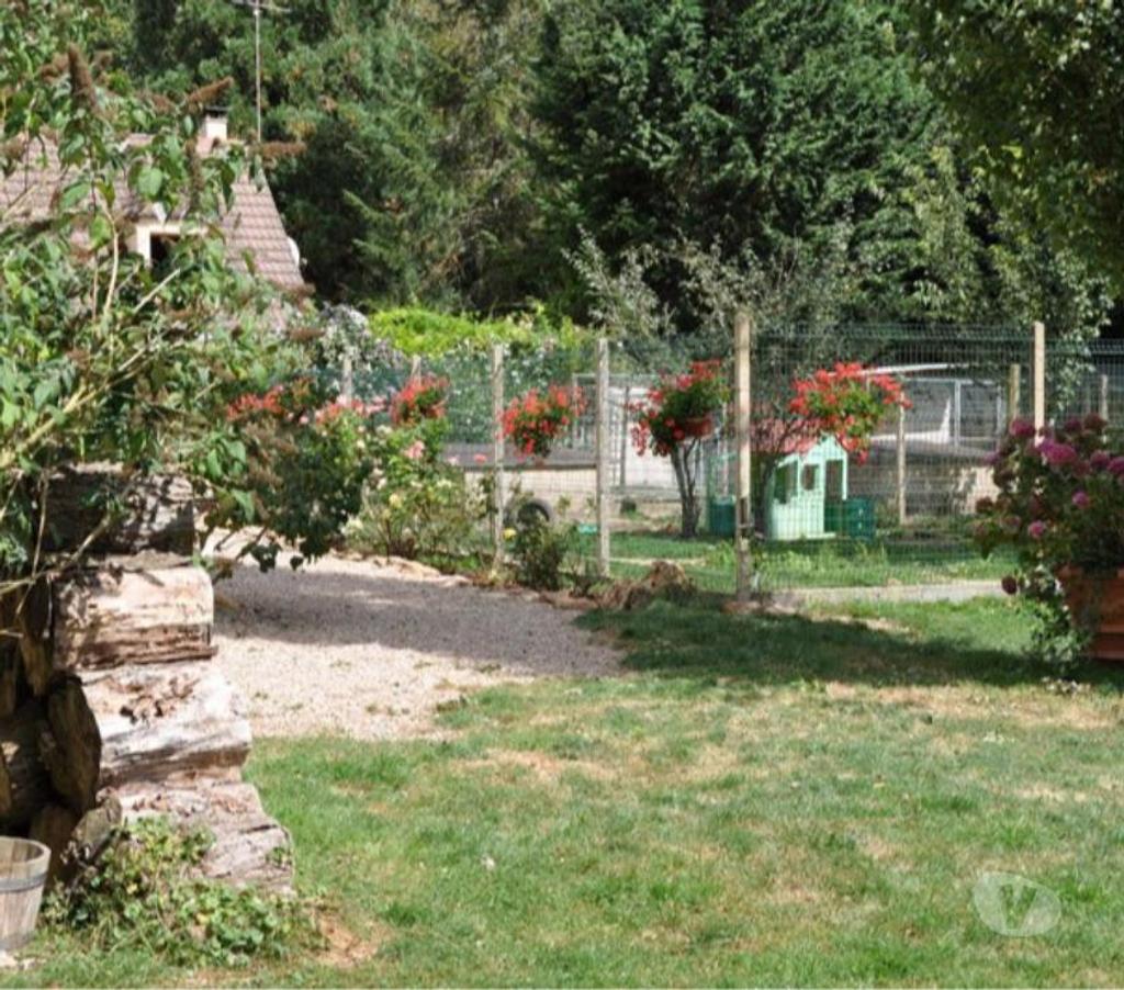 Services, accessoires animaux Yvelines Mezieres sur Seine - 78970 - Photos Vivastreet pension pour chiens et chats