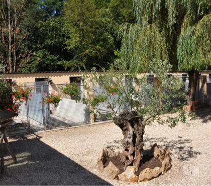 Services, accessoires animaux Mezieres sur Seine Yvelines - Photos Vivastreet pension pour chiens et chats
