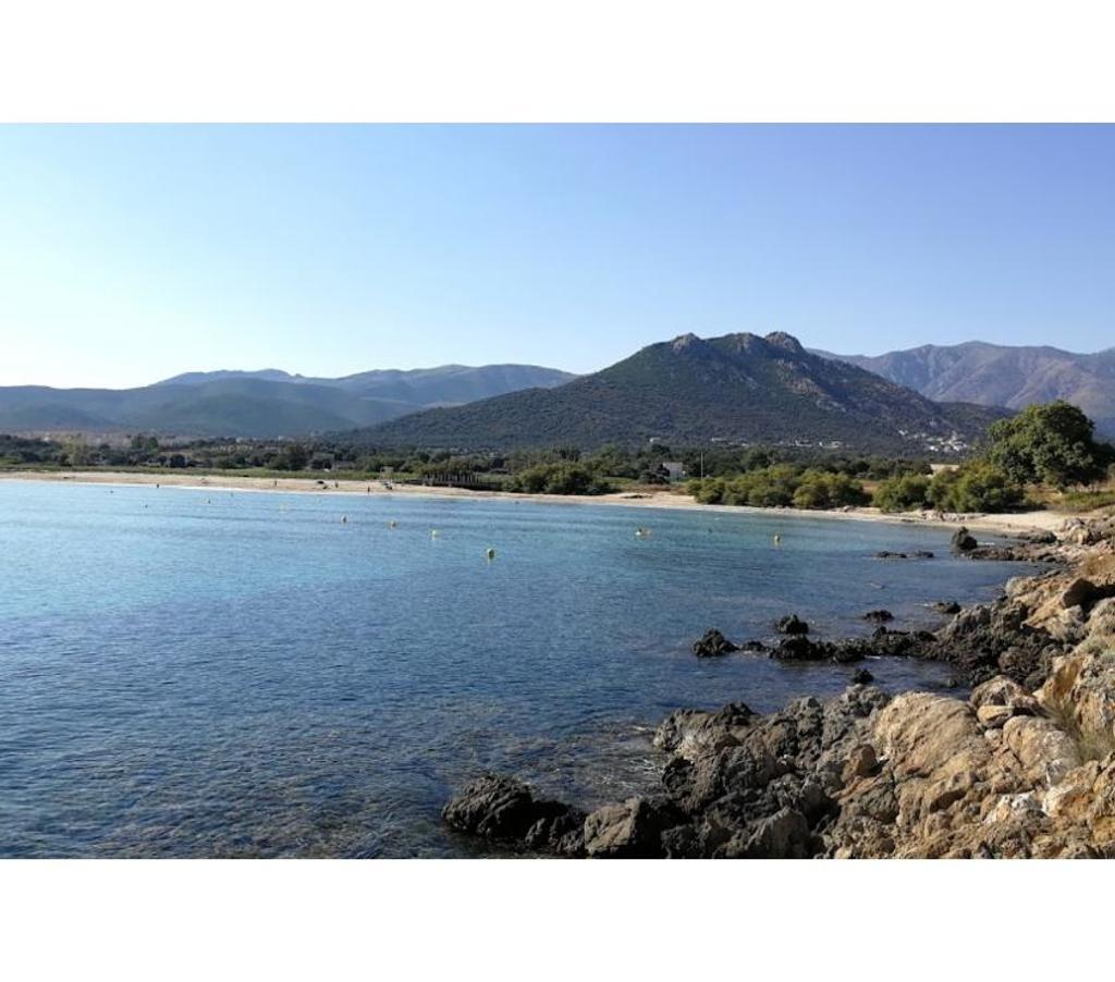 Appartements à vendre Haute-Corse Palasca - 20226 - Photos Vivastreet 3 pièces 66m2,terrasse 21m2, parking,piscine