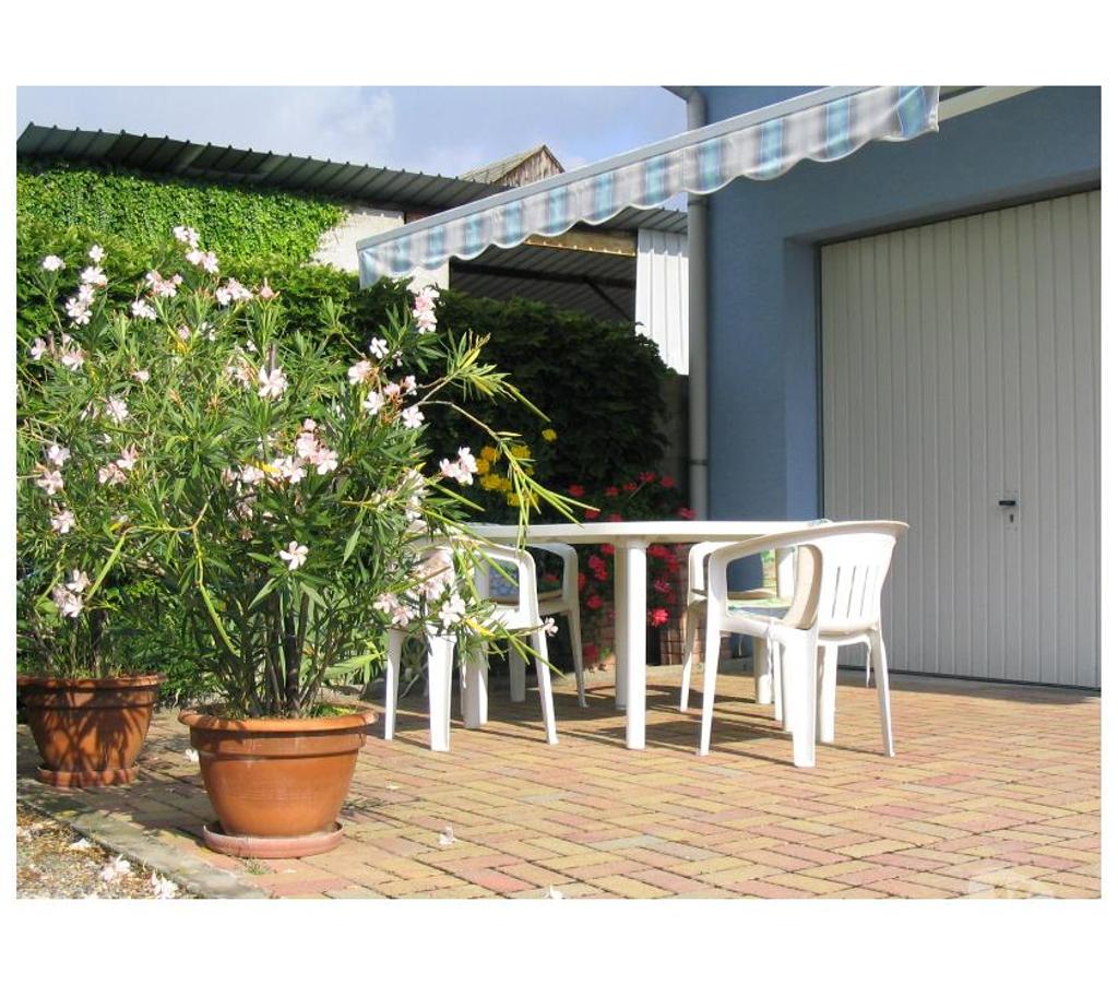 location saisonniere Haut-Rhin Oberhergheim - 68127 - Photos Vivastreet Gîte 3 clés indépendant climatisé prColmar 360 à 450€