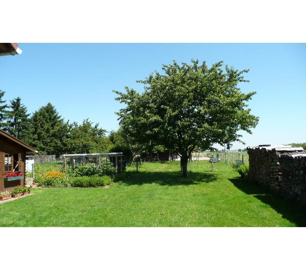 location saisonniere Haut-Rhin Oberhergheim - 68127 - Photos Vivastreet Gîte 3 clés indépendant climatisé prColmar 360 à 450€