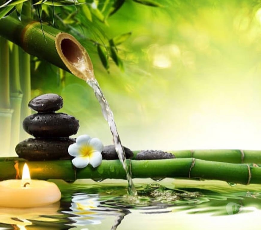 Massages Yvelines Maisons Laffitte - 78600 - Photos Vivastreet Gina Salon salon de massage et relaxation maisons-laffitte