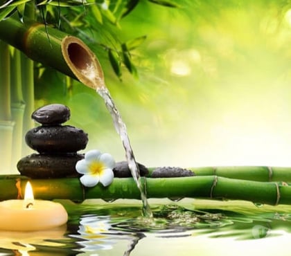 Massages Maisons Laffitte Yvelines - Photos Vivastreet Gina Salon salon de massage et relaxation maisons-laffitte