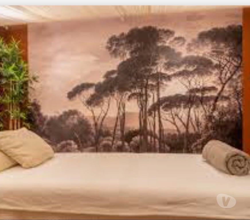 Massages Var Hyeres - 83400 - Photos Vivastreet Massage présence de douceur sensas