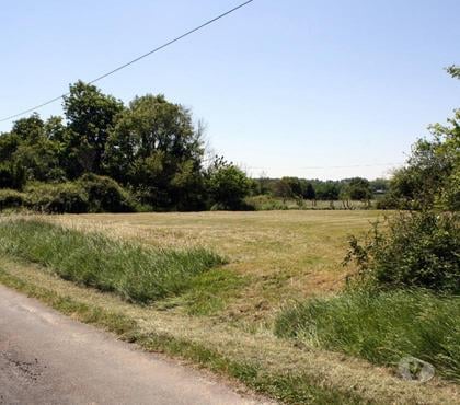 Terrain à vendre Archigny Vienne - Photos Vivastreet TERRAIN A 11KM de CHAUVIGNY 86
