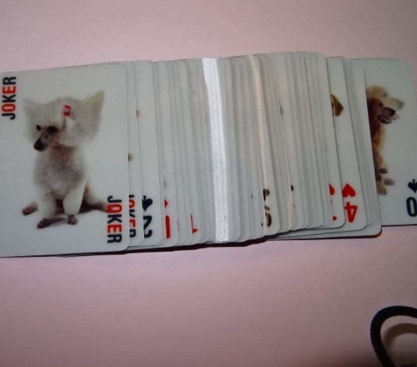 Jeux - Jouets Manche Le Teilleul - 50640 - Photos Vivastreet jeu de cartes poker chiens effets speciaux 3D