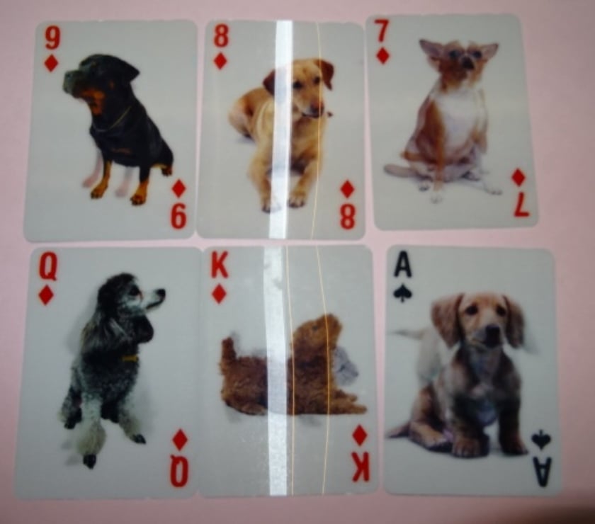 Jeux - Jouets Manche Le Teilleul - 50640 - Photos Vivastreet jeu de cartes poker chiens effets speciaux 3D