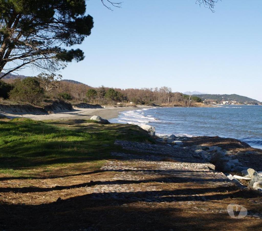 Vente Maison Haute-Corse Santa Maria Poggio - 20221 - Photos Vivastreet VENTE MAISON BORD DE MER CORSE