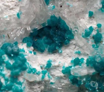 Collection Bertrichamps Meurthe-et-Moselle - Photos Vivastreet Aurichalcite & Hémimorphite & Argile Mexique