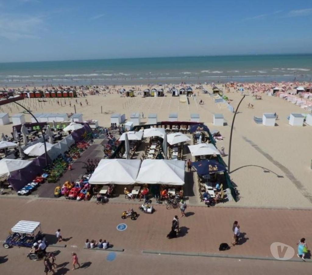 location saisonniere Belgique - Photos Vivastreet Studio ALPHA sur la digue