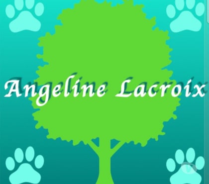 Services, accessoires animaux Brive la Gaillarde Corrèze - Photos Vivastreet Vente de produits naturels pour les animaux