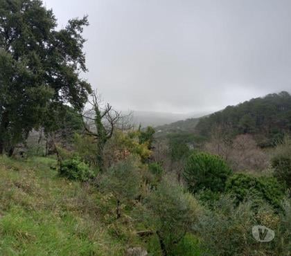 Achat maison La Garde Freinet Var - Photos Vivastreet maison dans chataigneraie
