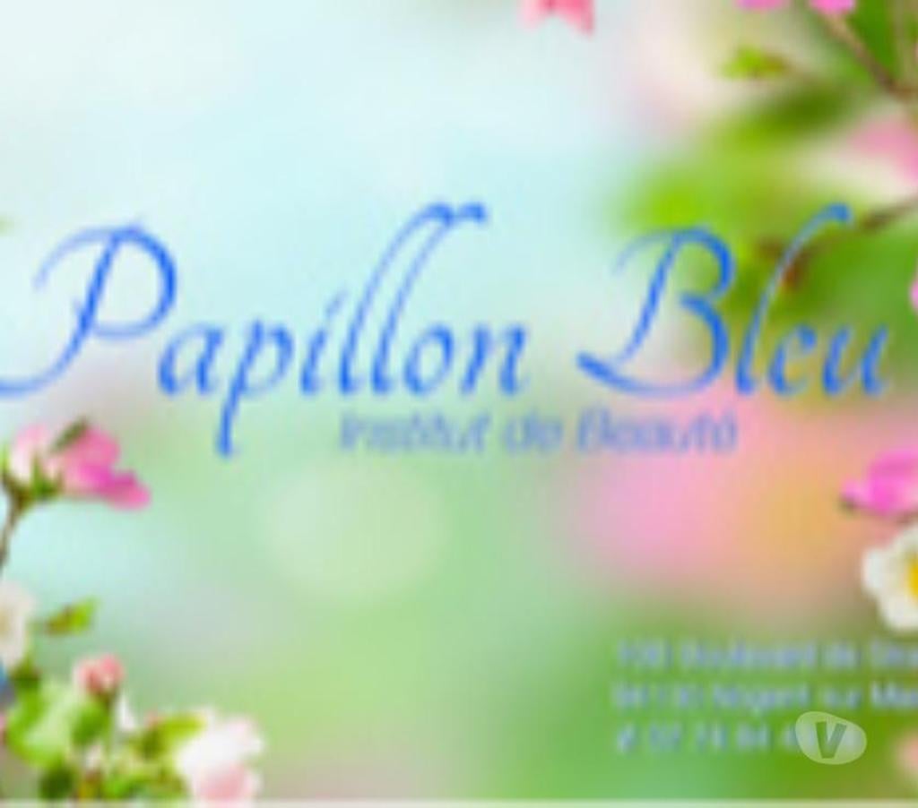 Massages Val-de-Marne Nogent sur Marne - 94130 - Photos Vivastreet salon de massage papillon bleu