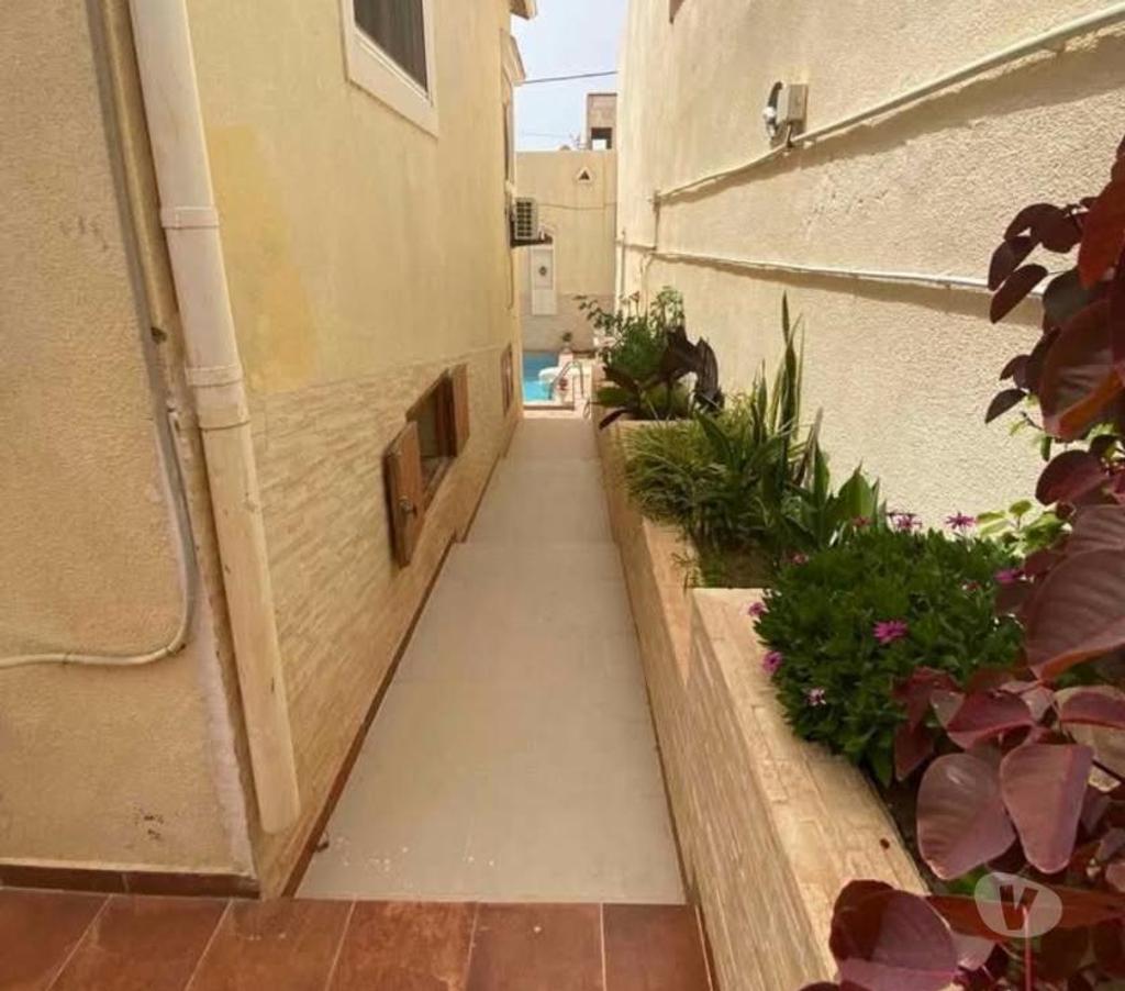 location saisonniere Algérie - Photos Vivastreet Villa avec piscine à bousfer plage Oran