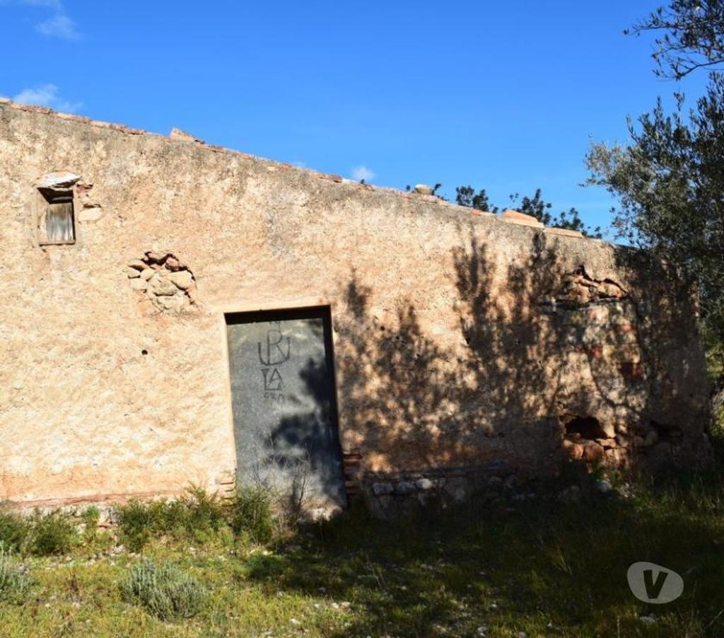Terrain à vendre Espagne - Photos Vivastreet terrain d'oliviers de 17.597 m2 avec maisonette de 24 m2