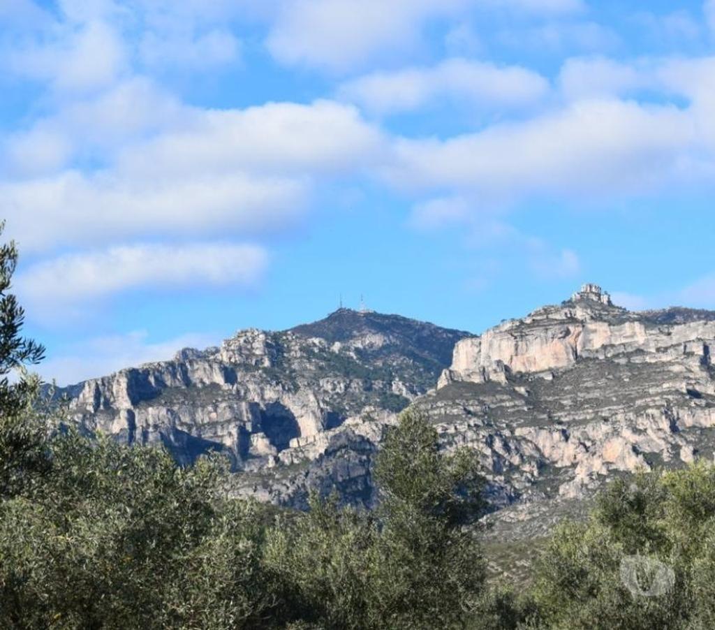 Terrain à vendre Espagne - Photos Vivastreet terrain d'oliviers de 17.597 m2 avec maisonette de 24 m2