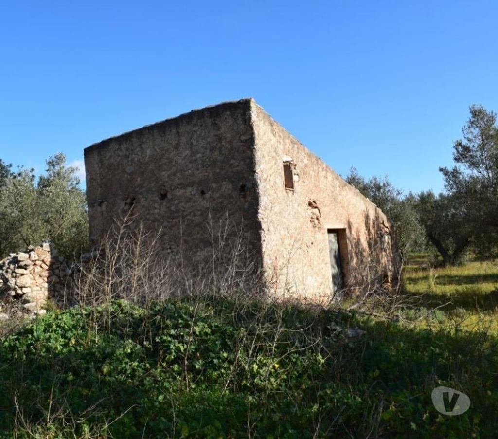 Terrain à vendre Espagne - Photos Vivastreet terrain d'oliviers de 17.597 m2 avec maisonette de 24 m2