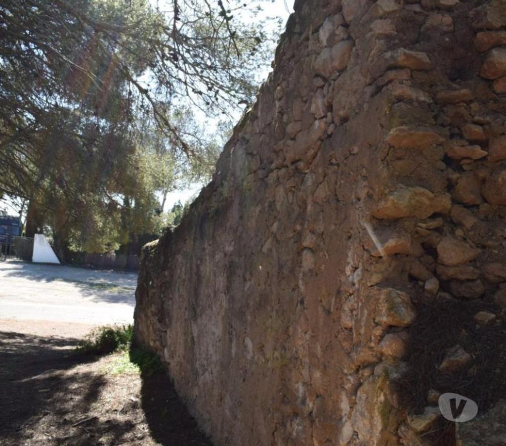 Terrain à vendre Espagne - Photos Vivastreet Terrain de pins et de forêt de 17 000 m2 avec construction