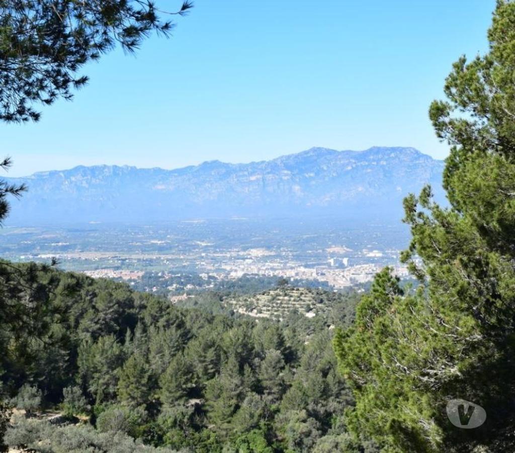Terrain à vendre Espagne - Photos Vivastreet Terrain de pins et de forêt de 17 000 m2 avec construction