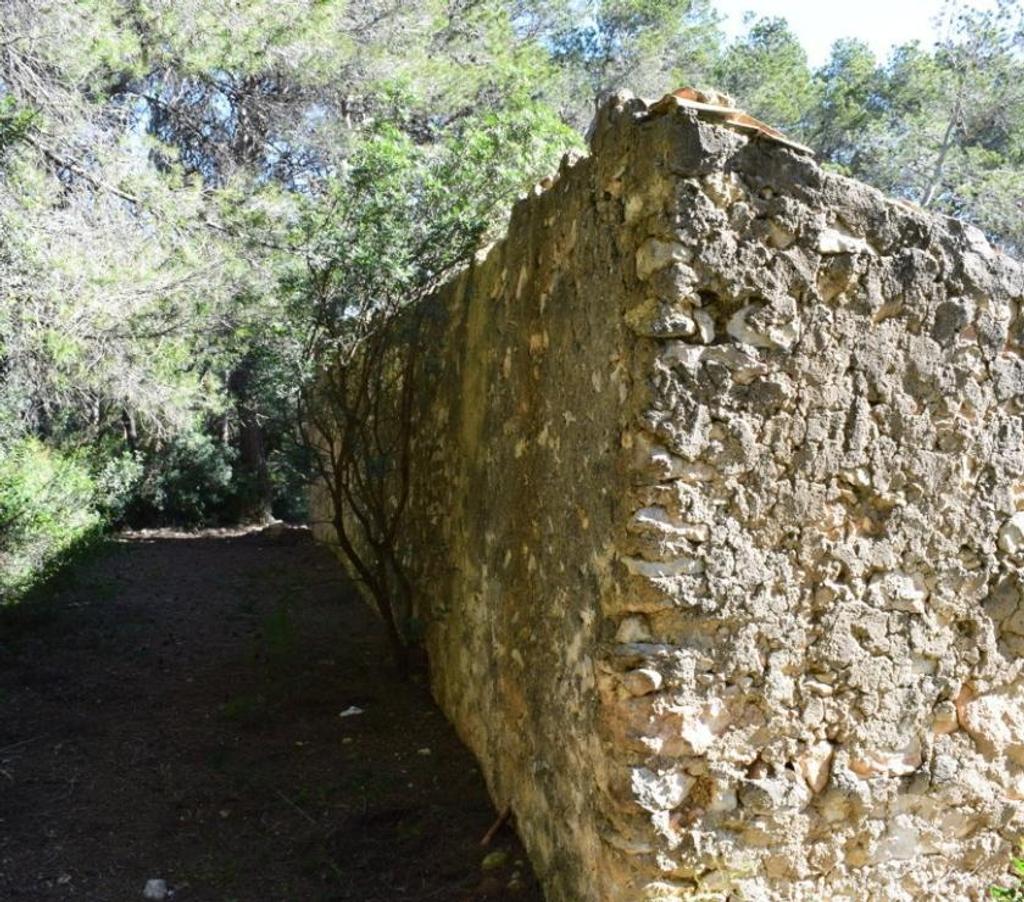 Terrain à vendre Espagne - Photos Vivastreet Terrain de pins et de forêt de 17 000 m2 avec construction