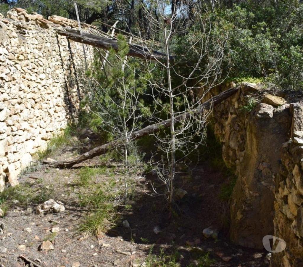 Terrain à vendre Espagne - Photos Vivastreet Terrain de pins et de forêt de 17 000 m2 avec construction