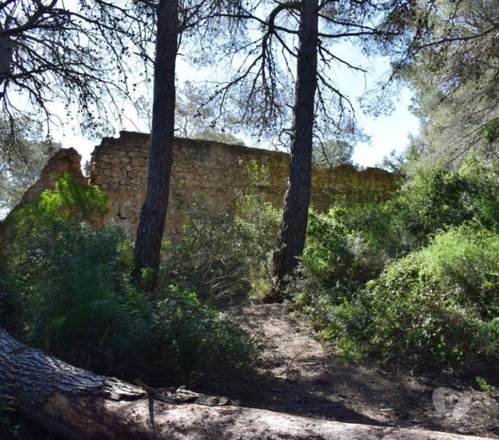 Terrain à vendre Espagne - Photos Vivastreet Terrain de pins et de forêt de 17 000 m2 avec construction