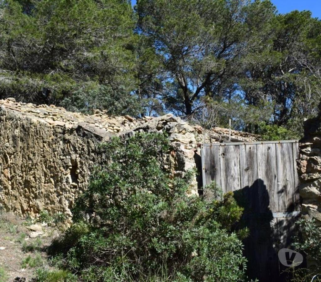 Terrain à vendre Espagne - Photos Vivastreet Terrain de pins et de forêt de 17 000 m2 avec construction
